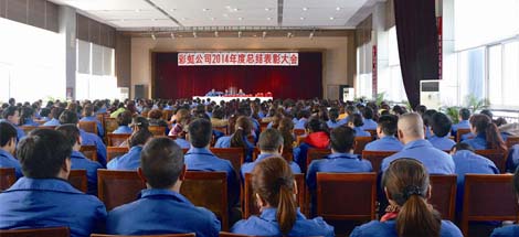 成都乐竞平台_乐竞（中国）集团召开2014年度工作总结及表彰大会