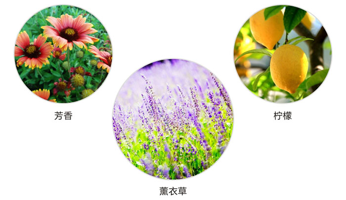 乐竞平台_乐竞（中国）防蛀片有芳香，柠檬，薰衣草三种香型