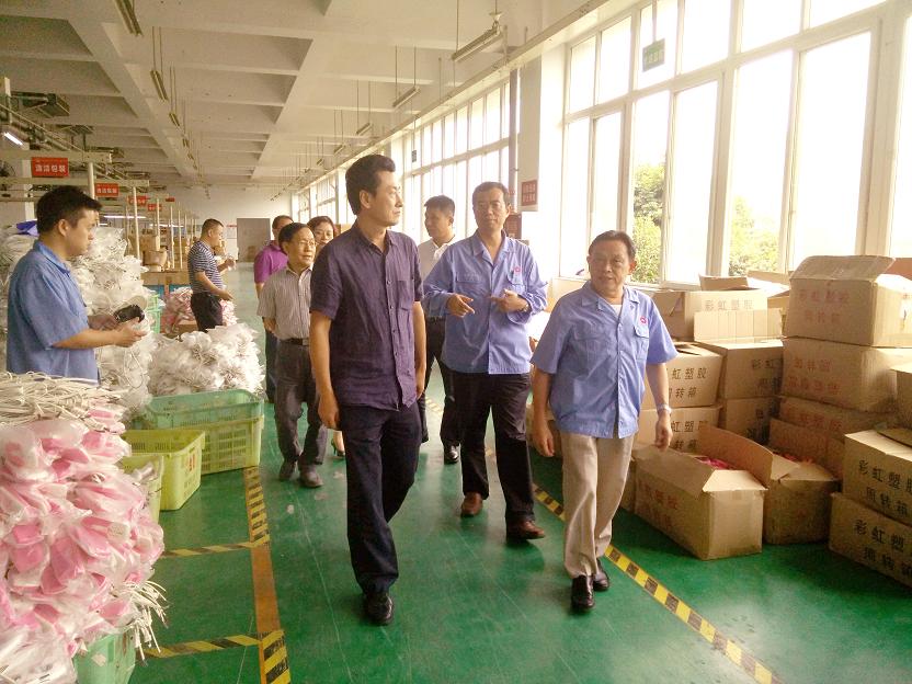 成都市安监局领导一行到成都乐竞平台_乐竞（中国）集团进行安全检查