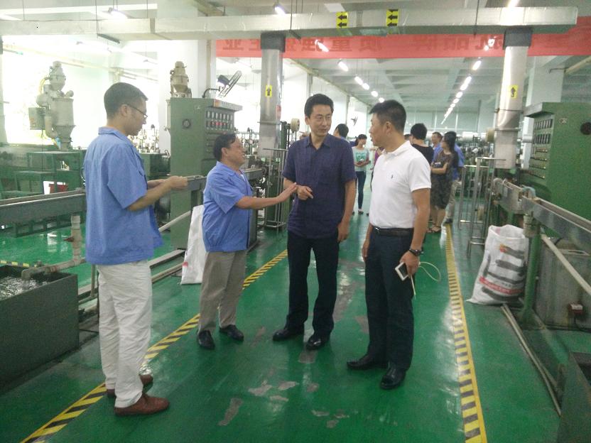 成都市安监局领导一行到成都乐竞平台_乐竞（中国）集团进行安全检查