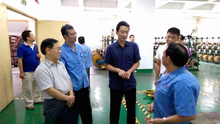 成都市安监局领导一行到成都乐竞平台_乐竞（中国）集团进行安全检查