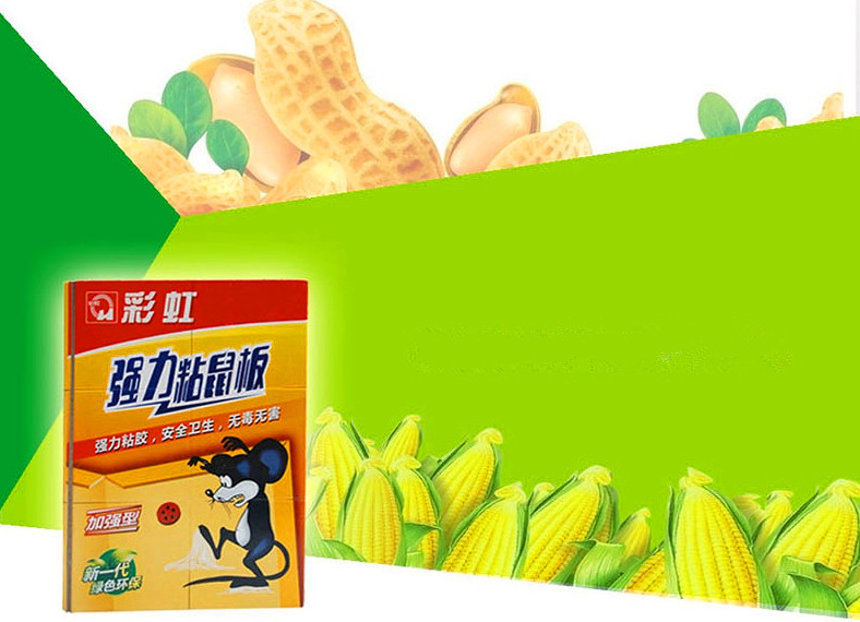 乐竞平台_乐竞（中国）粘鼠板采用含有花生香精配方诱饵的专业粘着剂，强力粘胶