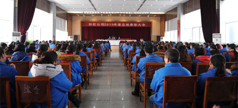 成都乐竞平台_乐竞（中国）集团召开2015年度总结表彰大会