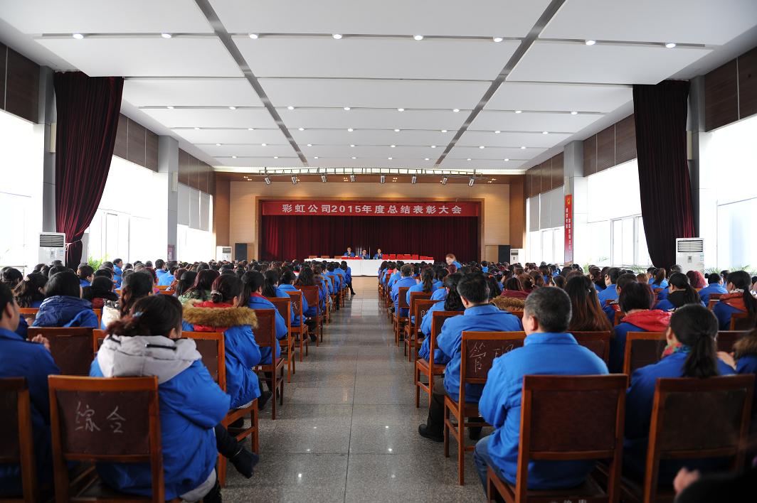成都乐竞平台_乐竞（中国）集团召开2015年度总结表彰大会