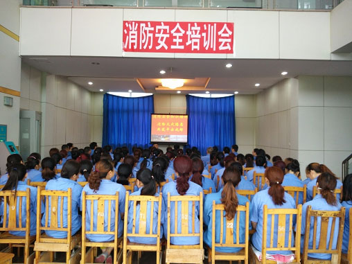 成都乐竞平台_乐竞（中国）泉源公司举办消防安全专题培训会