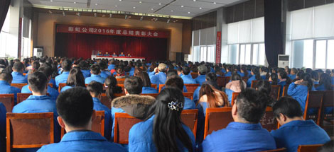 成都乐竞平台_乐竞（中国）集团召开2016年度总结表彰大会