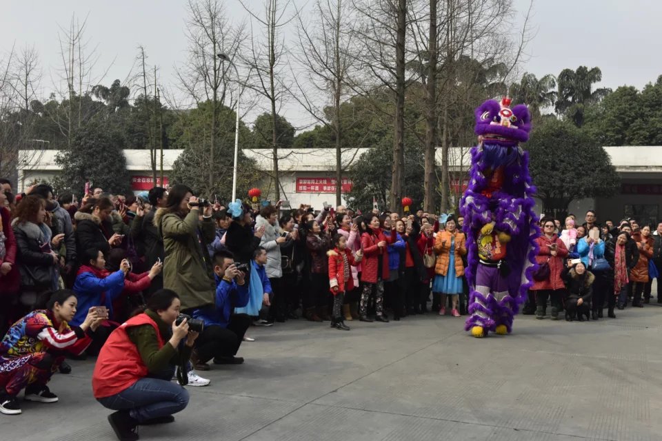 成都乐竞平台_乐竞（中国）集团举办2017迎春大庙会之舞狮