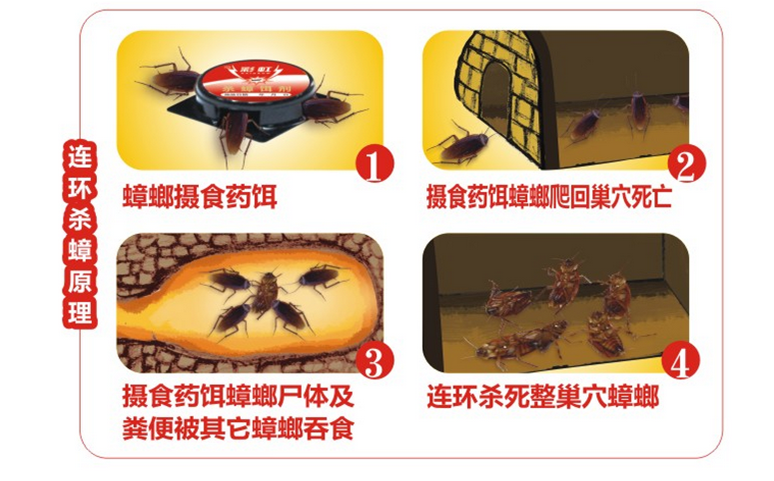 乐竞平台_乐竞（中国）杀蟑饵剂采用含诱蟑因子的杀蟑配方，特殊饵盒设计。饵剂固定在药剂内，仅留蟑螂通过的缝隙，可防止儿童或宠物触食。