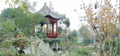 员工心声之我与乐竞平台_乐竞（中国）塑胶共成长