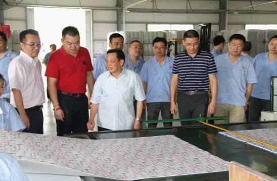 成都乐竞平台_乐竞（中国）集团刘董事长到中南公司检查指导工作
