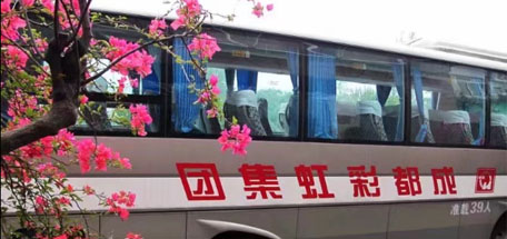 成都乐竞平台_乐竞（中国）集团工会组织“心贴心”女职工健康体检