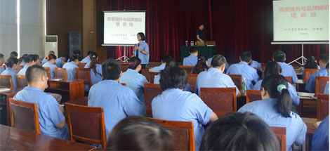 成都乐竞平台_乐竞（中国）集团开展质量提升与品牌建设培训