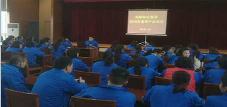 成都乐竞平台_乐竞（中国）集团2018年夏季产品生产工艺培训