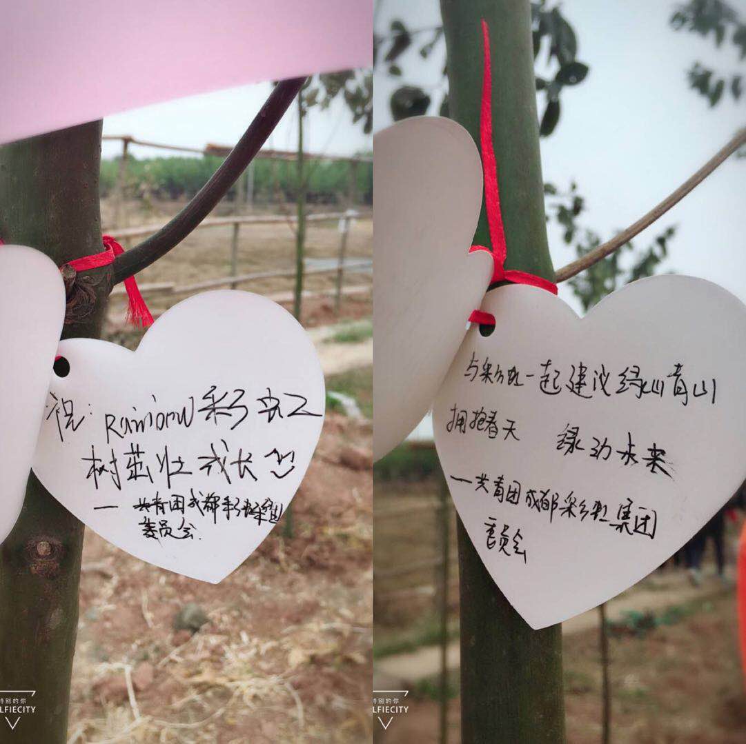 共青团成都乐竞平台_乐竞（中国）集团团委及团员青年代表参加高新区植树节志愿服务活动