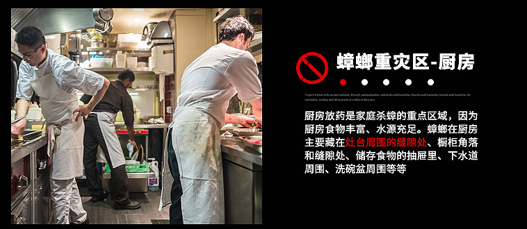   乐竞平台_乐竞（中国）杀蟑饵剂采用含诱蟑因子的杀蟑配方，特殊饵盒设计。饵剂固定在药剂内，仅留蟑螂通过的缝隙，可防止儿童或宠物触食。