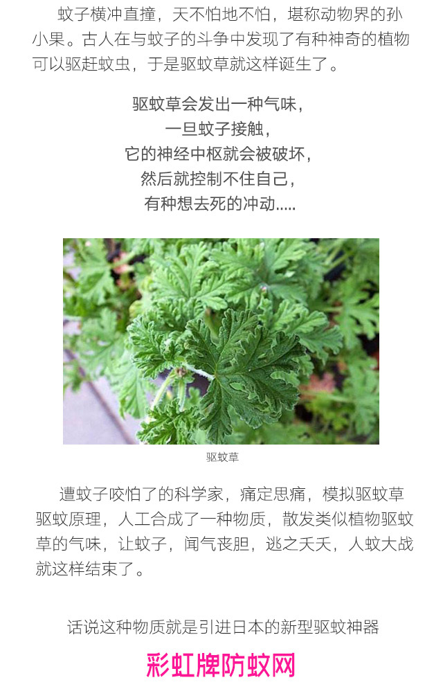 隐形蚊帐——乐竞平台_乐竞（中国）防蚊网