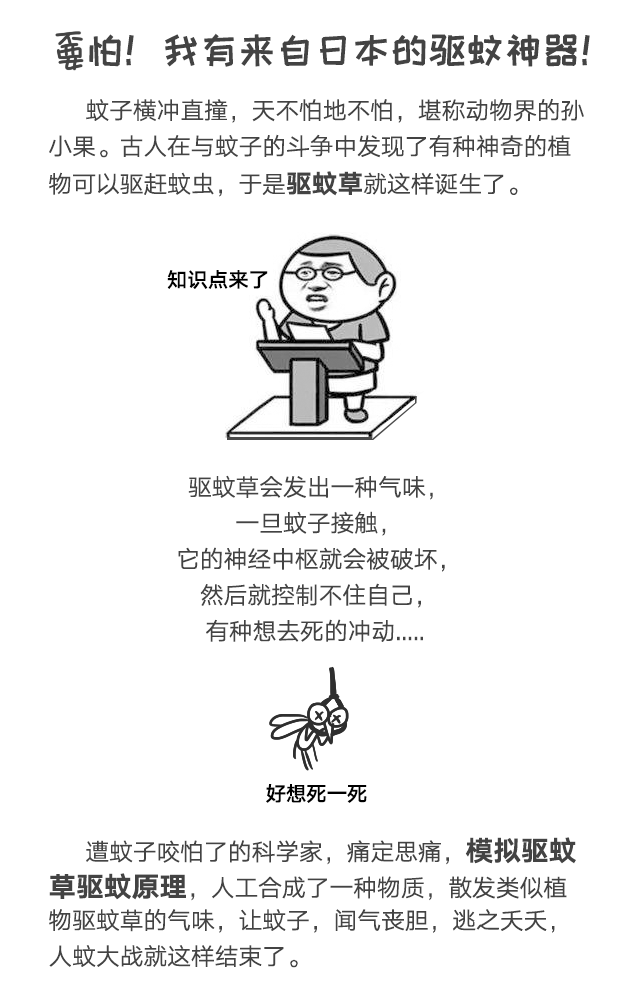 乐竞平台_乐竞（中国）防蚊网不惧日晒与风雨