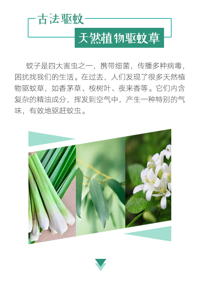 乐竞平台_乐竞（中国）天然植物精油驱蚊贴