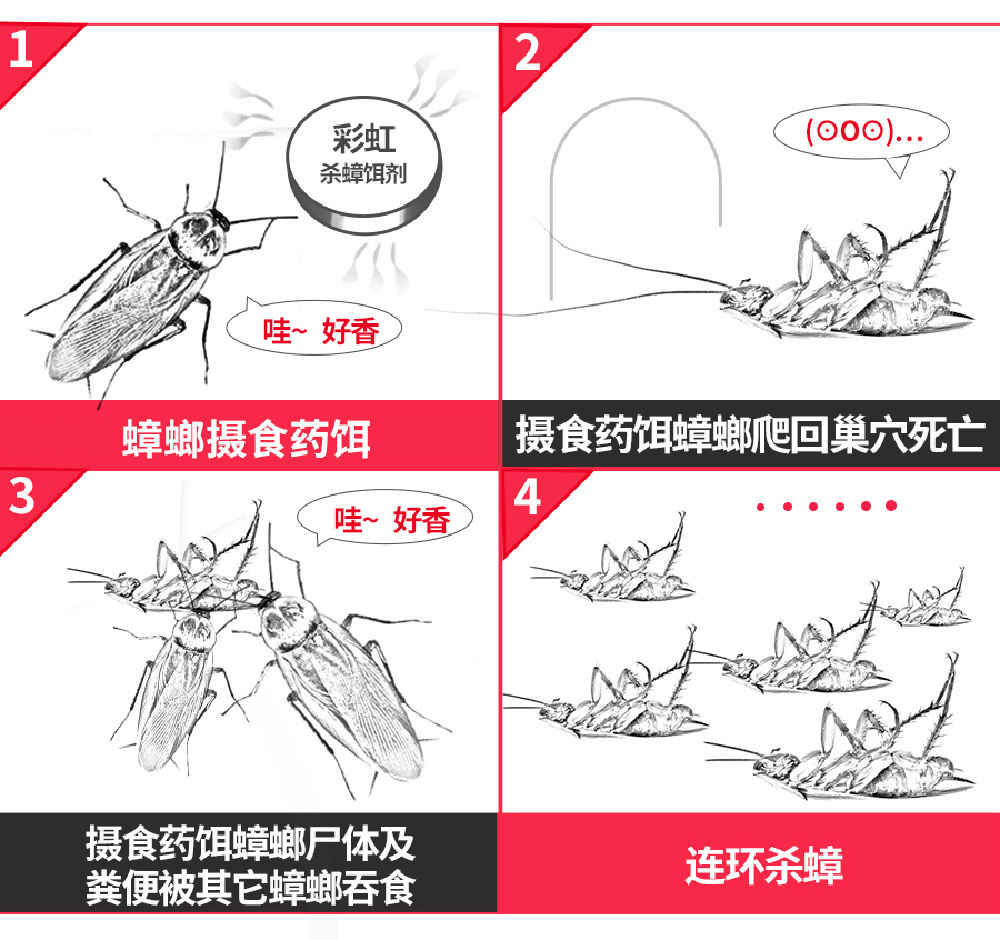 乐竞平台_乐竞（中国）杀蟑饵剂可连环杀蟑