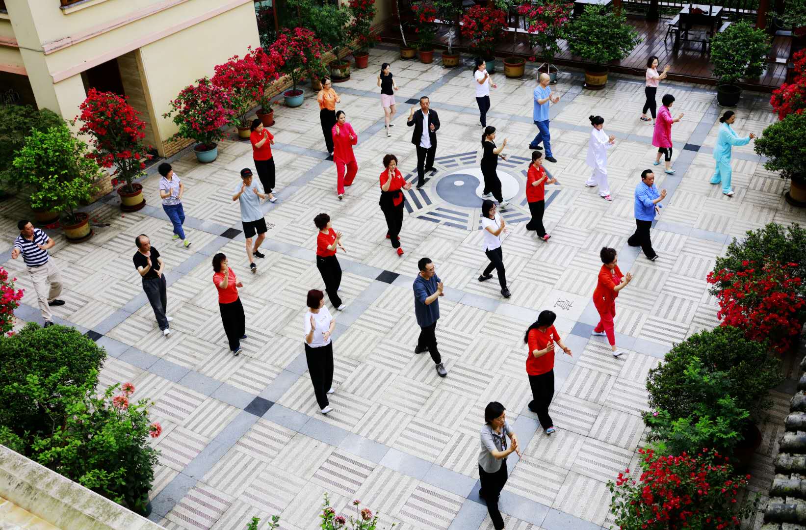 成都乐竞平台_乐竞（中国）集团太极拳协会活动
